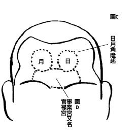 額闊|額頭闊與眉頭闊